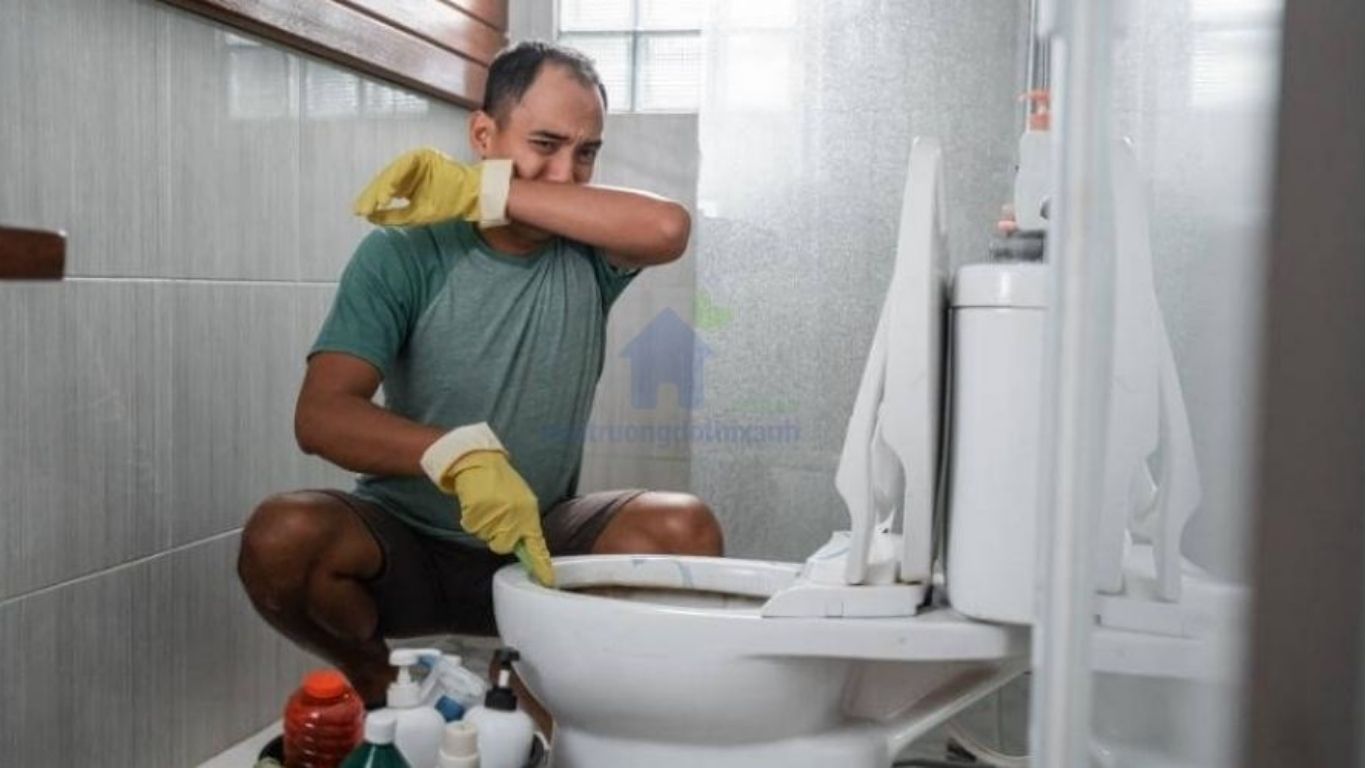 Cách Khử Mùi Hầm Cầu Hiệu Quả, Ít Tốn Kém